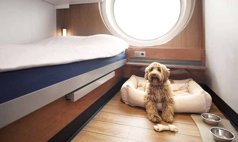 Stena Line are now offering dog-friendly cabins © Stena Line