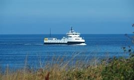 ELLEN © Peter Therkildsen ELLEN © Peter Therkildsen